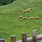 Appartamento Diffuso In Di Sotto