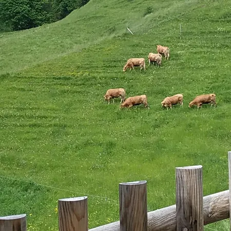 Apartamento Diffuso In Di Sotto